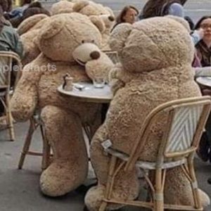 Meet your Posher, Todd